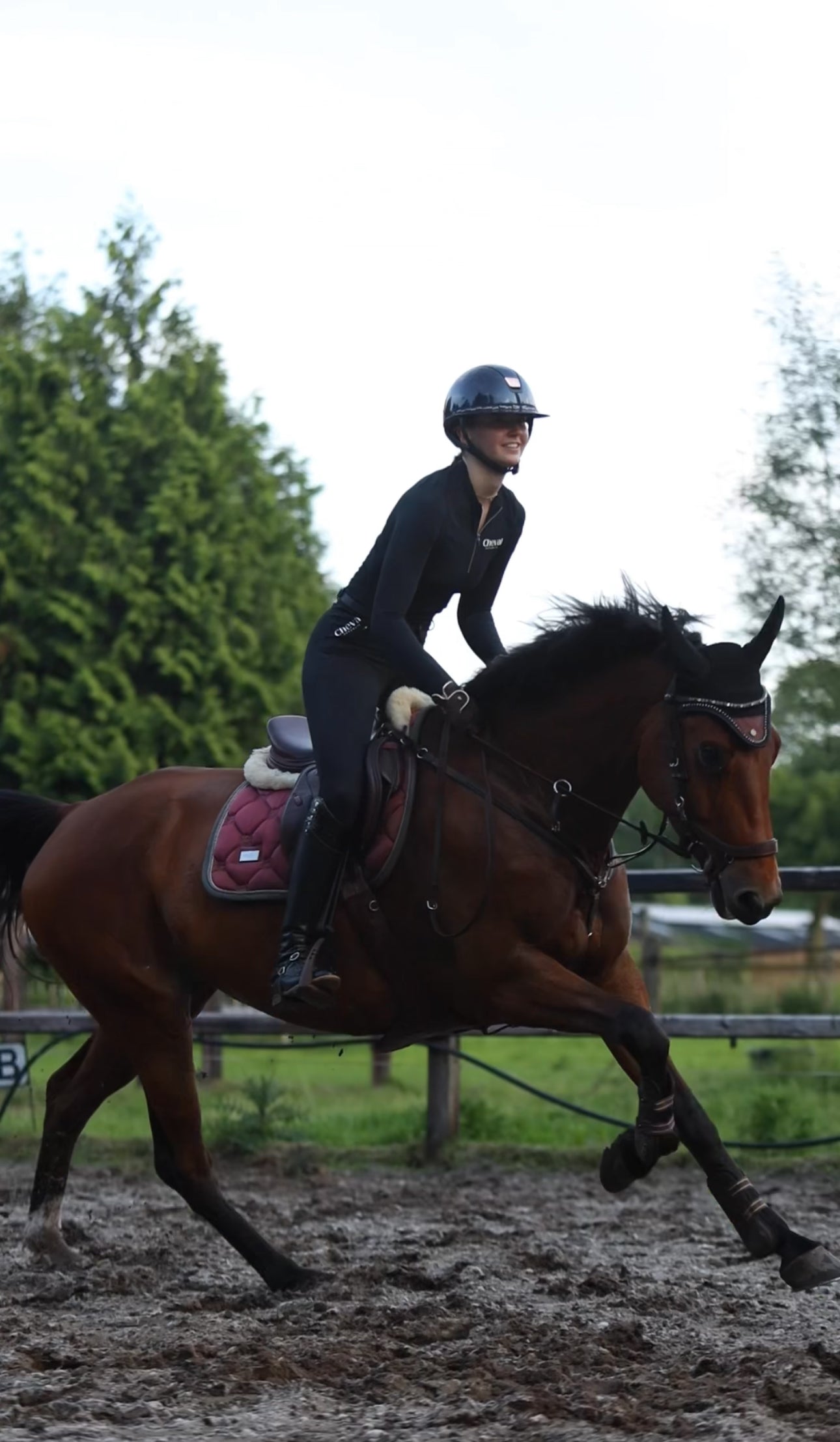 The Belt Breeches