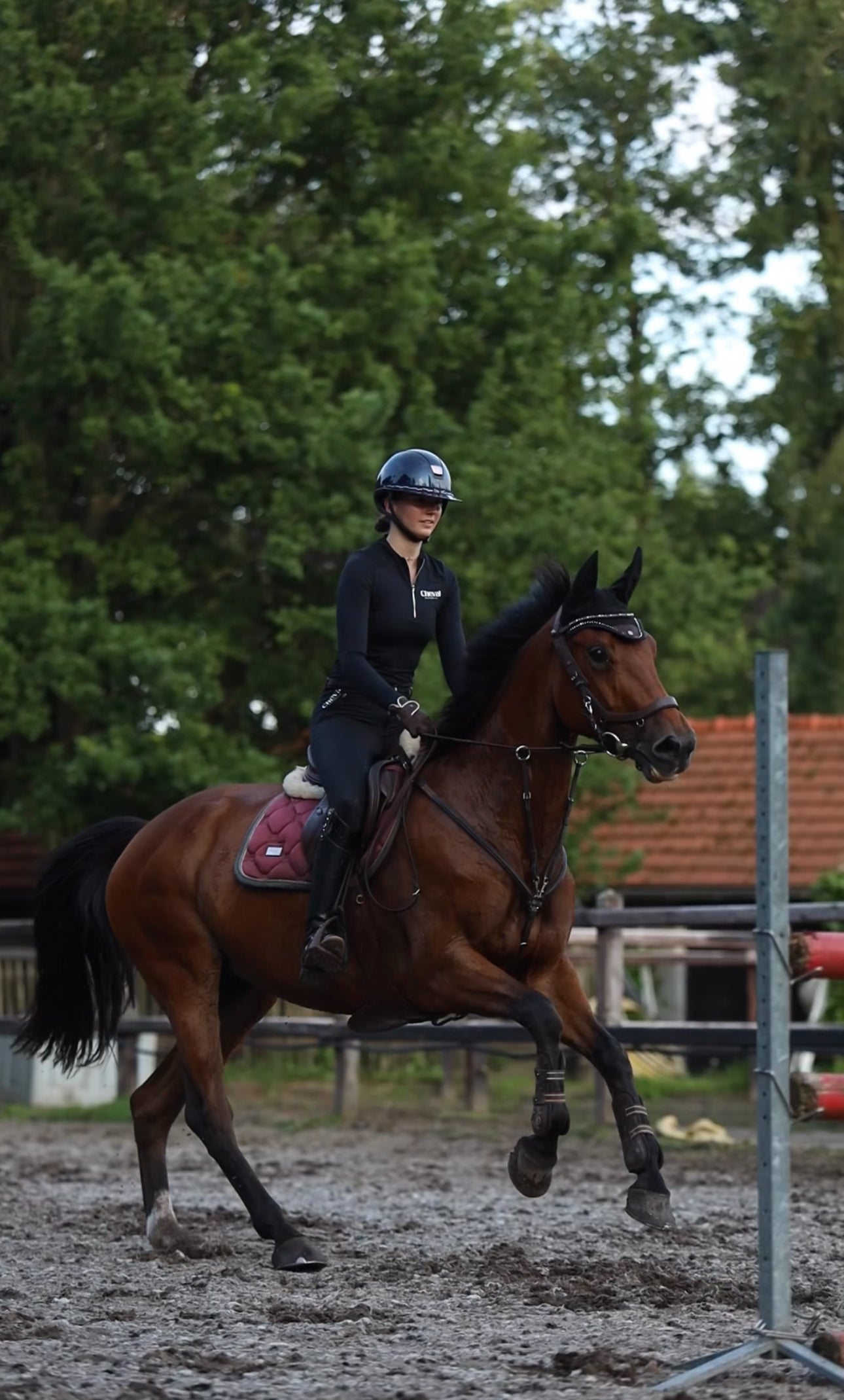 The Belt Breeches