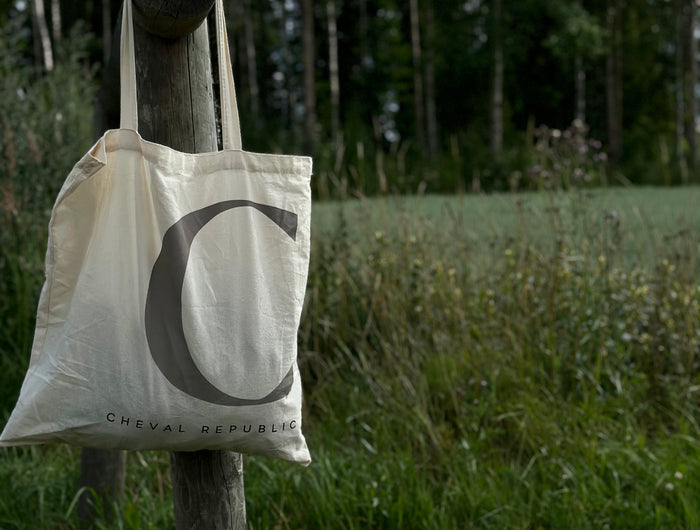 <h2>Miten voimme auttaa sinua tänään?</h2>