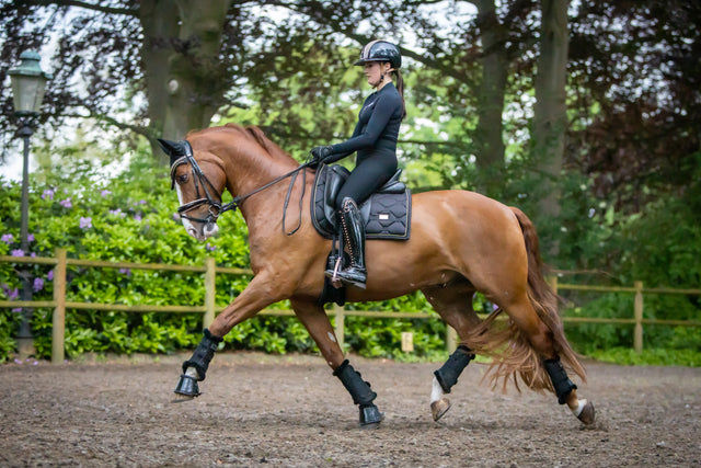 <h2>Shop the look</h2>